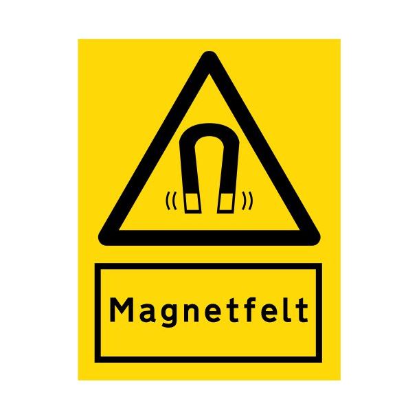 Magnetfelt